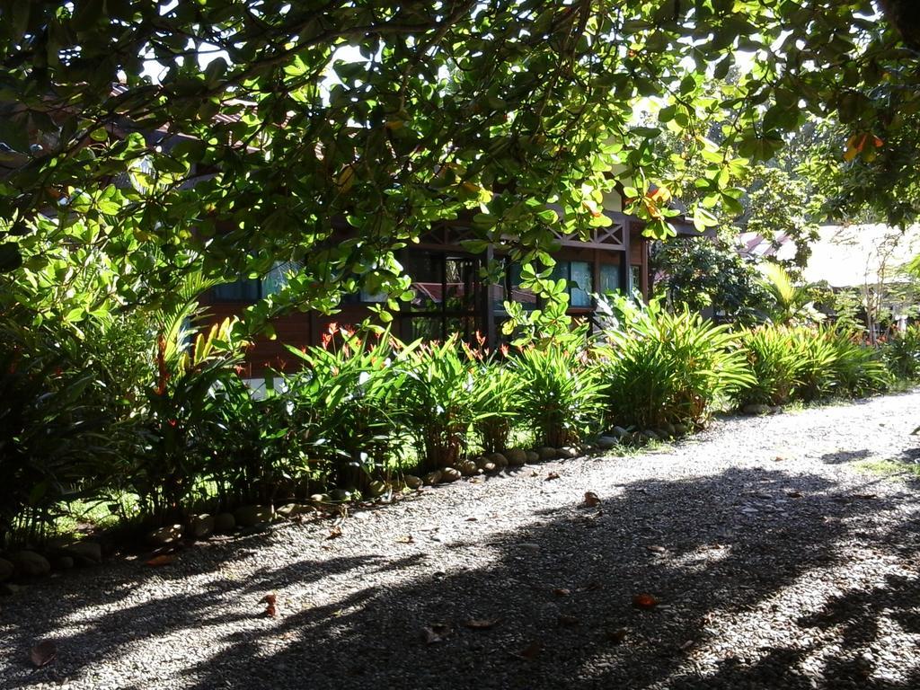 Kenaki Lodge Puerto Viejo de Talamanca 외부 사진