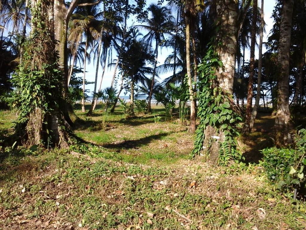 Kenaki Lodge Puerto Viejo de Talamanca 외부 사진