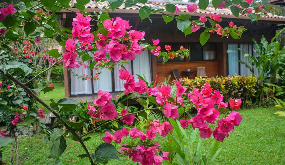 Kenaki Lodge Puerto Viejo de Talamanca 외부 사진
