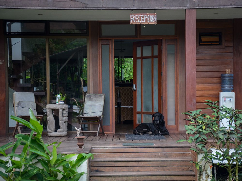 Kenaki Lodge Puerto Viejo de Talamanca 외부 사진